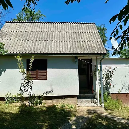 Two Olives * Slatina Varoš